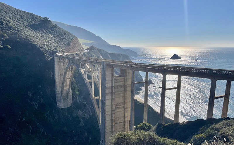 Shore Bridge | UCSF Synapse
